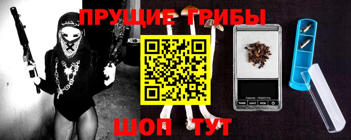 Кызыл  Галлюциногенные грибы Psilocybe  Вход с VPN 