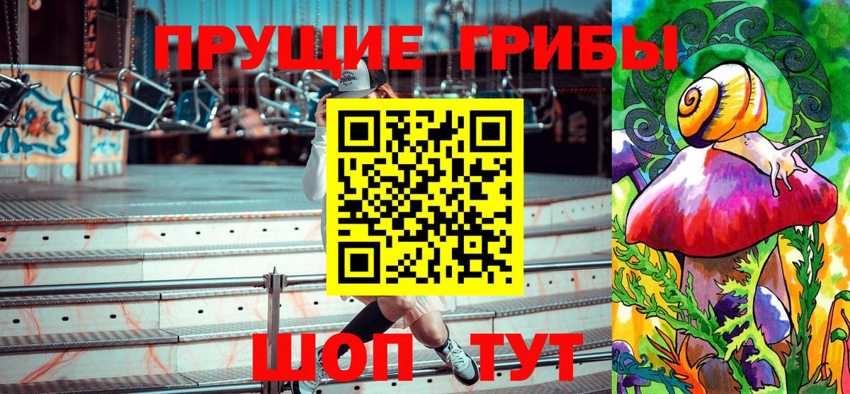Псилоцибиновые грибы Psilocybe Кызыл